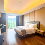 Executive Room Include Dinner